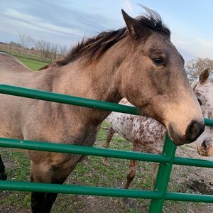 Meet your Posher, Marie